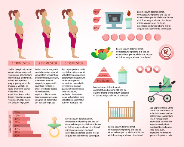 怀孕信息文章页向量模板图片下载