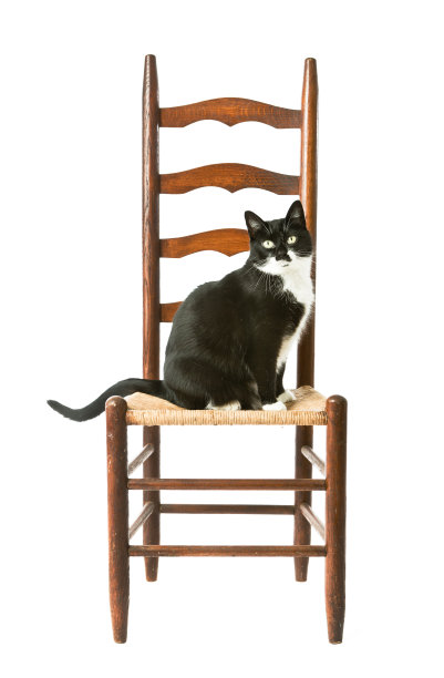 老式古董乡村农场柳条家具椅子与猫图片下载