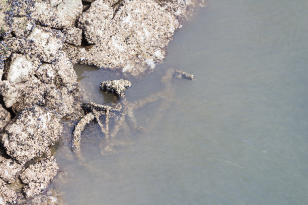 淹死了自行车水下图片下载