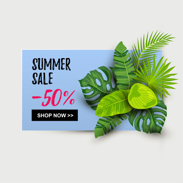 印有热带树叶的夏季促销横幅图片下载
