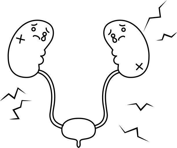 插图可爱的肾脏和膀胱轮廓图片下载