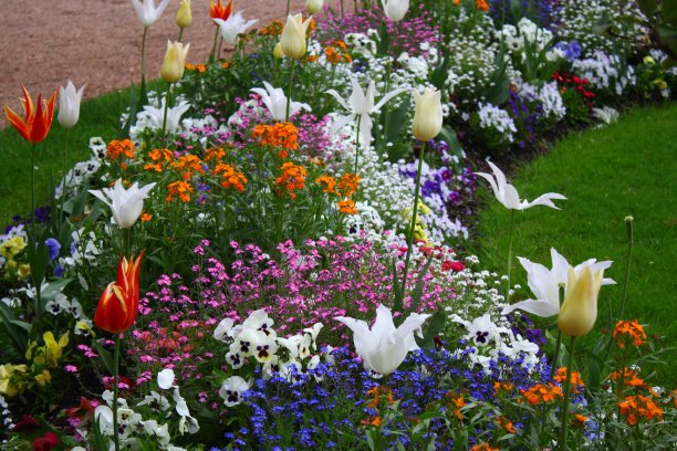 巴洛克园林自然花卉图片下载