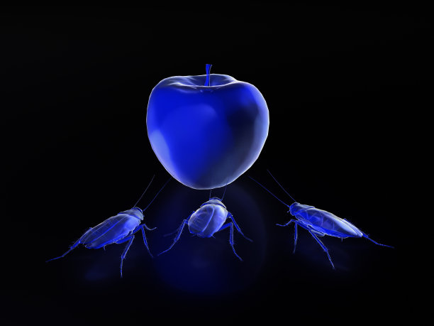 蟑螂吃食物，蟑螂x射线模式。三维渲染图片下载