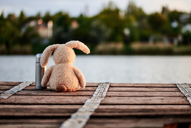 阳光下，可爱柔软的小兔子拿着暖水瓶站在湖边的码头上。副本的空间。图片下载