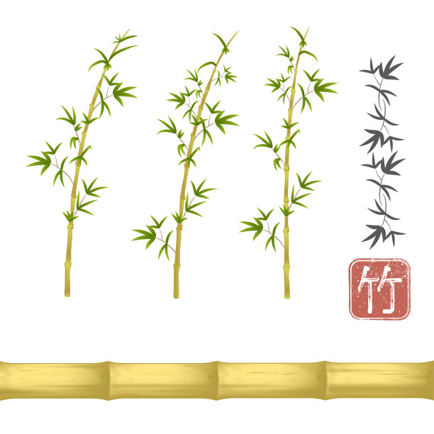 竹矢集。茎和叶。干黄桶。点缀的分支。日语中的“竹”字图片下载