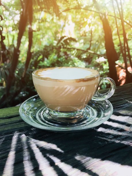 早上喝一杯热咖啡，配上甜心糖。以自然为背景，放松自由。图片下载
