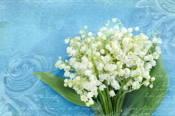 山谷百合的花束在一个垃圾蓝色的背景与建筑的细节蜿蜒，柱头，中楣。雕刻在石头上的装饰艺术人物。带有花朵的华丽浮雕碎片图片下载