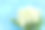 山谷百合的花束在一个垃圾蓝色的背景与建筑的细节蜿蜒，柱头，中楣。雕刻在石头上的装饰艺术人物。带有花朵的华丽浮雕碎片图片下载