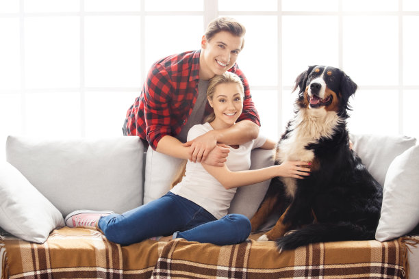 年轻人有狗在家休闲图片下载