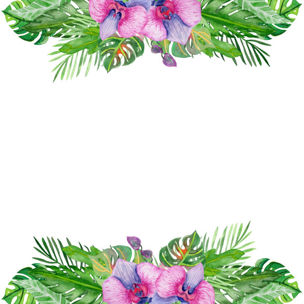 水彩框架热带树叶和树枝在白色的背景。图片下载