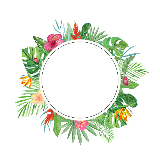水彩框架热带叶和花在白色的背景。图片下载