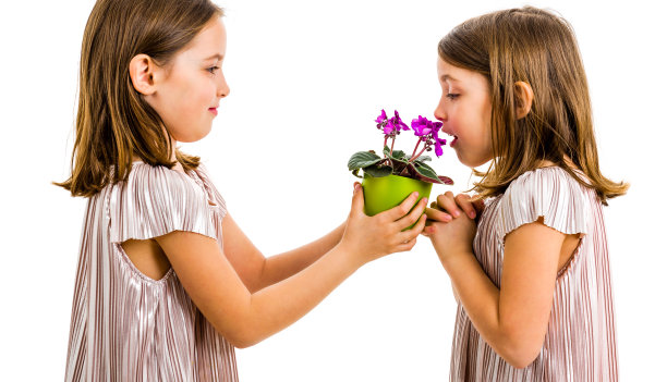 同卵双胞胎女孩正在闻姐姐送的鲜花礼物。图片下载