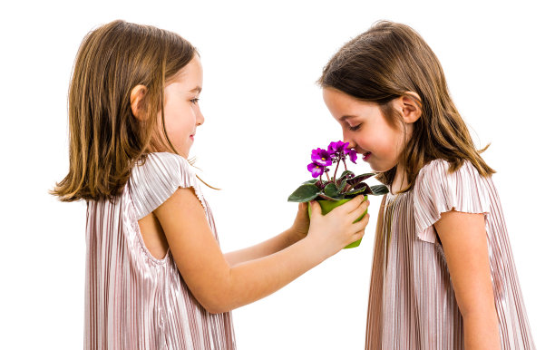同卵双胞胎女孩正在闻姐姐送的鲜花礼物。图片下载