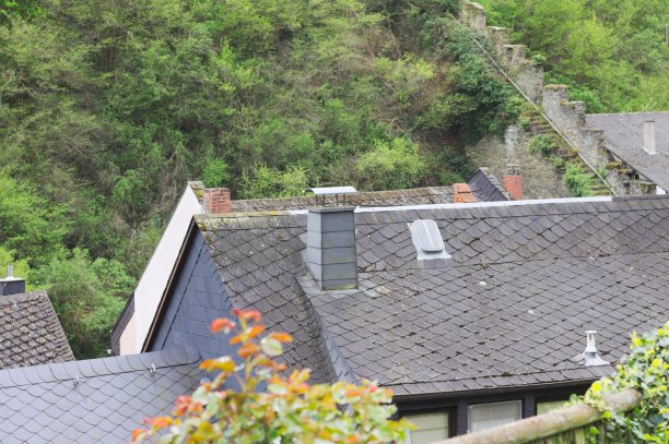 Bacharach的黑色屋顶(德国，欧洲)图片下载