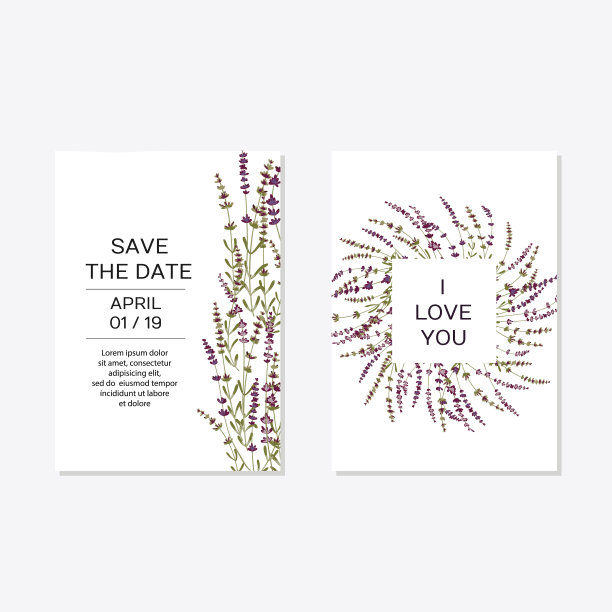 以薰衣草为背景的婚礼请柬图片下载