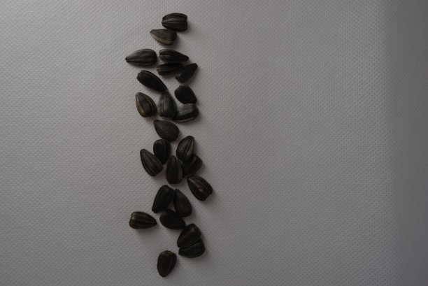 黑葵花籽、烤葵花籽、炒葵花籽，对人们来说是天然健康食品，美味宜人。图片下载