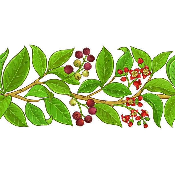 檀香矢量模式图片下载