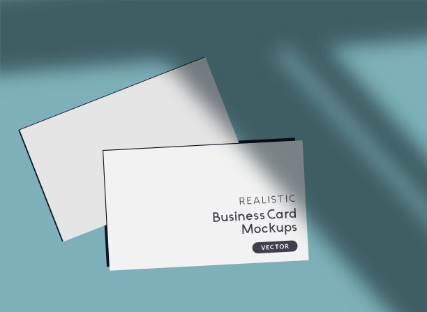 真实的名片模型模板和阴影图片下载