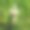 花粉和粉红色花朵的特写镜头图片下载