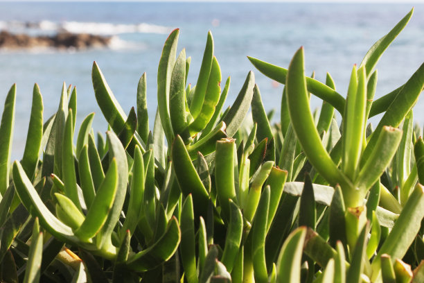 塞浦路斯岛。图片下载