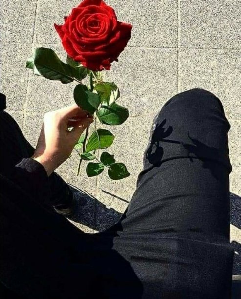 简单的生活图片下载