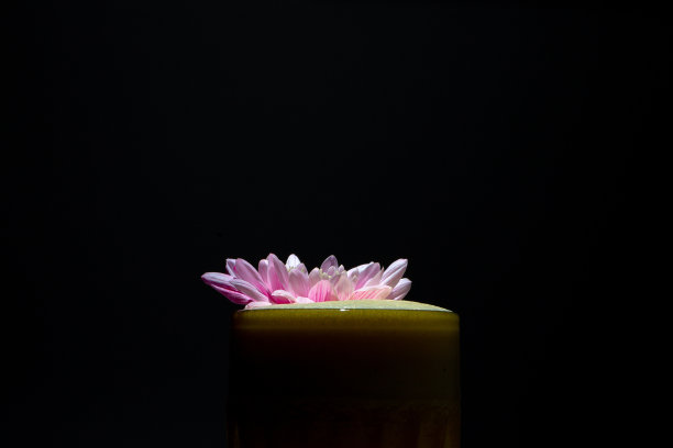 美丽可口的鸡尾酒在一个透明的装饰玻璃图片下载