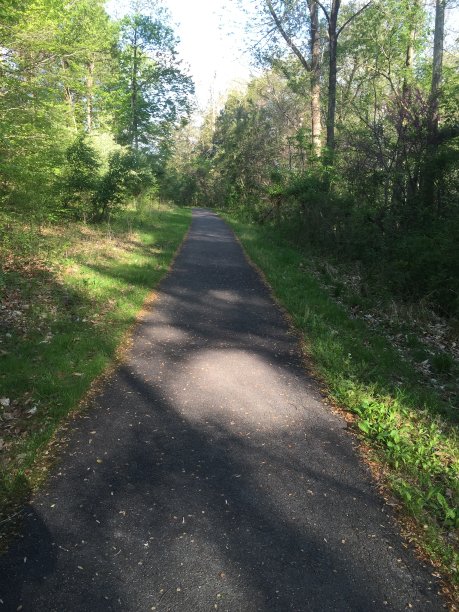 随机的地方图片下载
