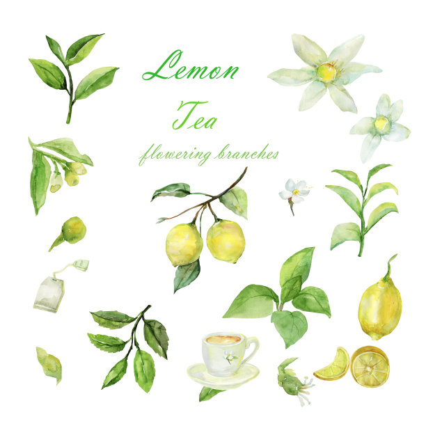 模式柠檬图片下载