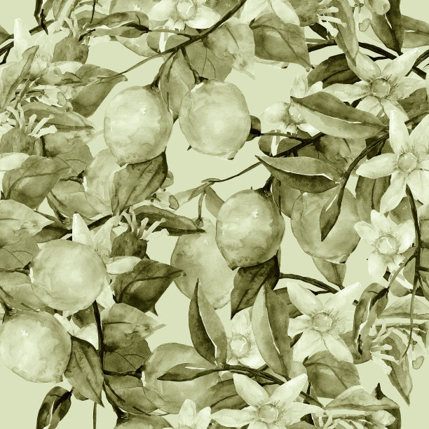 模式柠檬图片下载