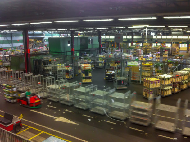 荷兰阿斯米尔花卉拍卖图片下载