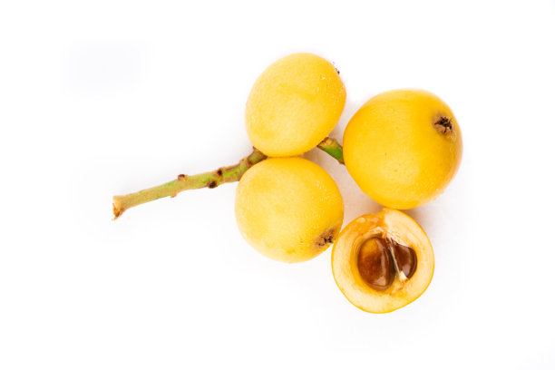 白色背景上的新鲜枇杷图片下载