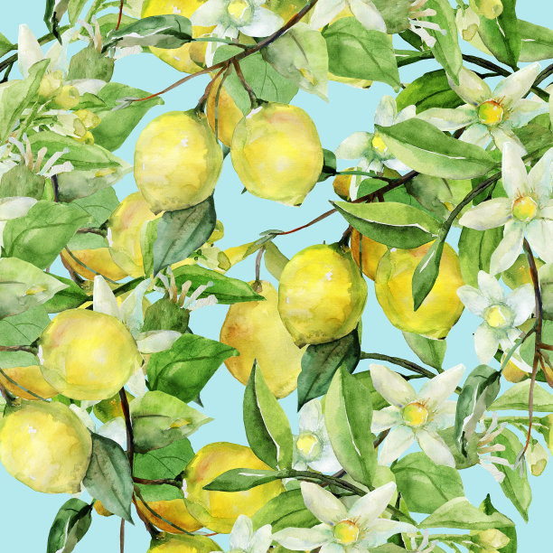 模式柠檬图片下载