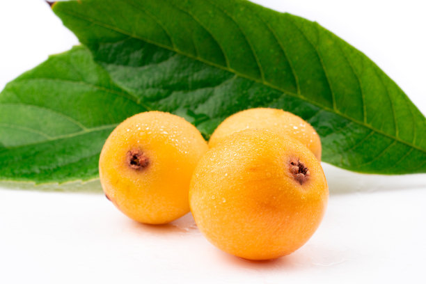 白色背景上的新鲜枇杷图片下载