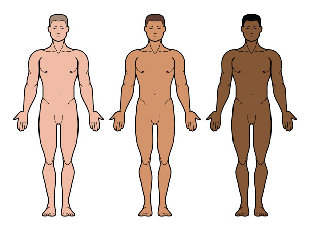 3种男性肤色图片下载