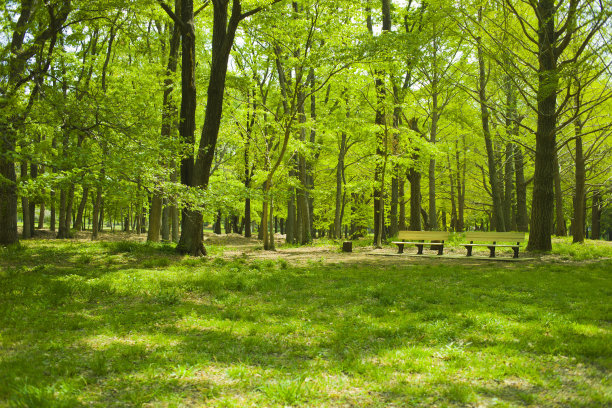 公园的长椅上图片下载