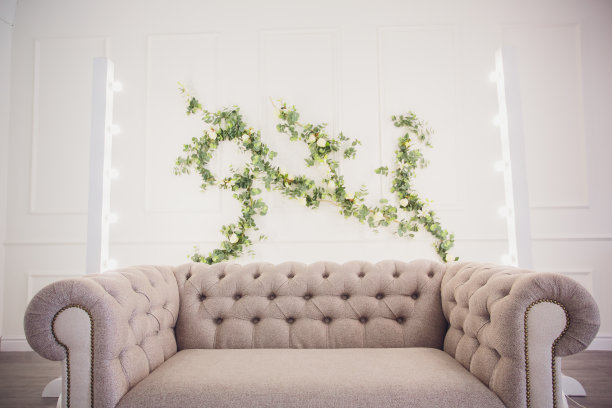 宽敞的客厅内部有一个沙发，书架，木制的咖啡桌，天花板背光，灯和黑色的马桶图片下载