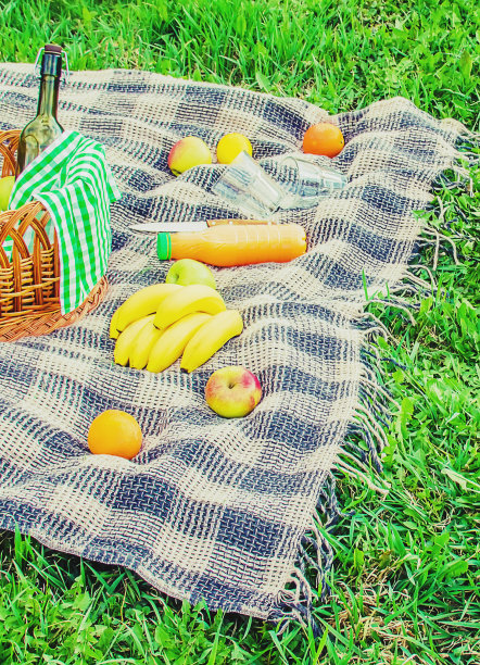 草地上野餐用的格子花呢。有选择性的重点。图片下载
