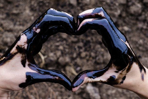 石油泄漏。很脏的手。在土壤背景上涂上黑色的油。图片下载