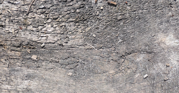 背景是旧的木头和稻草。纹理背景的灰色木材和干树枝。图片下载