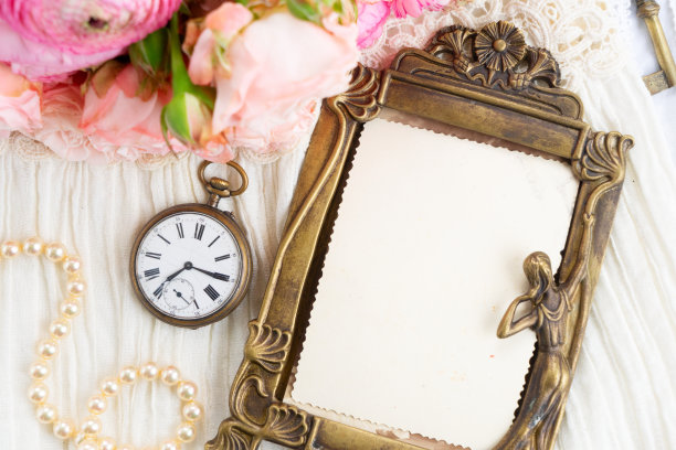 粉红色和白色盛开的玫瑰图片下载