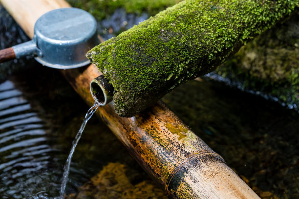 在茶馆洗手漱口图片下载