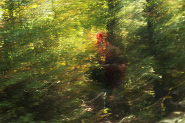 春天的时间图片下载