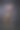 小意大利灰狗的肖像。生日快乐的帽子图片下载