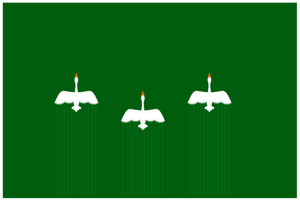 候鸟从俯视图飞行图片下载