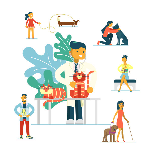 兽医诊所的概念。图片下载