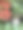 东方花园中花岗岩日本花灯塔的形象与红橙色的杜鹃花/开花的杜鹃花植物，圆石花岗岩雪灯与弯曲的脚maru yukimi / marukia风格的日本园林照片图片下载