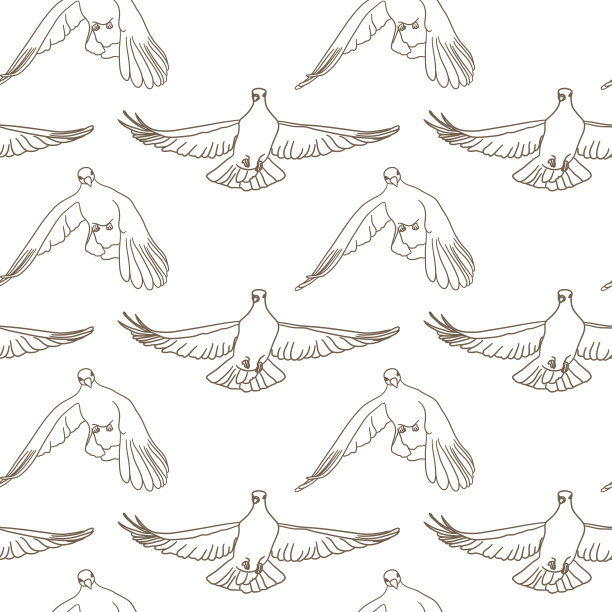 飞禽无缝图案。向量的背景图片下载