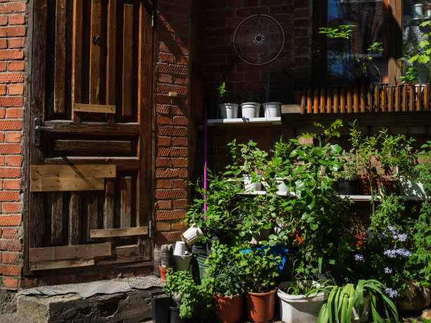 砖墙上有很多盆栽。五彩缤纷的盆栽图片下载