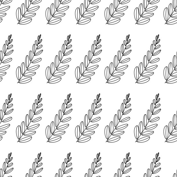 矢量插图。孤立于白色上的植物、花或分枝的叶。装饰花卉植物元素。图片下载