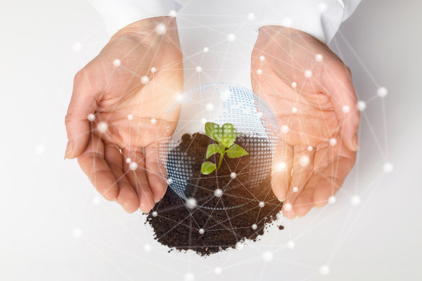 手保护发芽。图片下载